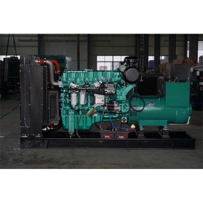 300kw玉柴柴油發電機組-玉柴6缸柴油機YC6MJ500-D30 柴油發電機組,缸徑/行程：131/145mm,柴油發電機組水冷發動機功率367KW,柴油發電機組配套馬拉松斯坦福發電機。廠價直銷歡迎選購：13773399855。
